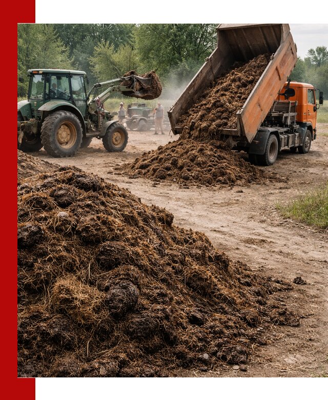 Доставка навоза самосвалами в Железногорске для сельхозпотребностей